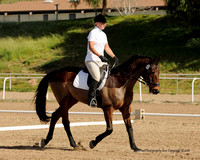 2011-02-13 Intl. Equestrian Center